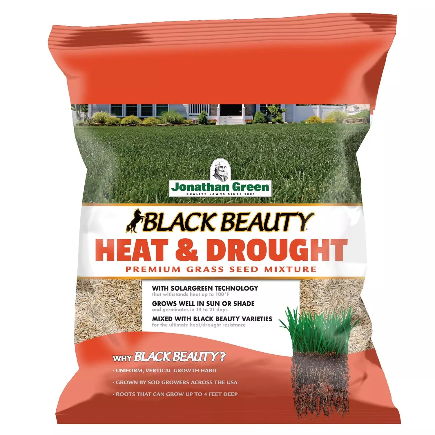 Black Beauty Heat & Drought Grass Seed, 3 Lbs. Ea